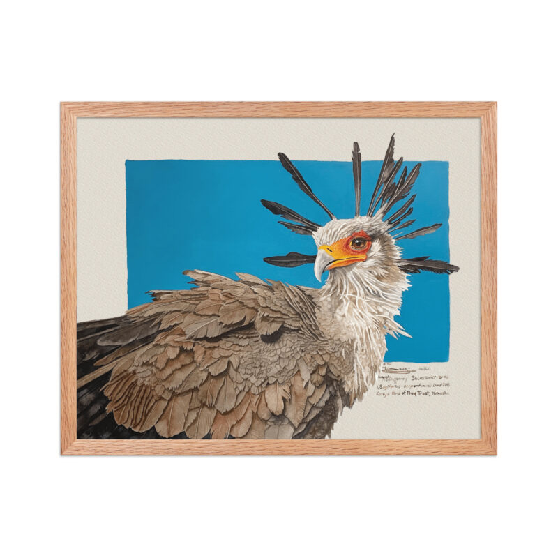 Framed poster, Moneypenny, the secretary bird - Image 10