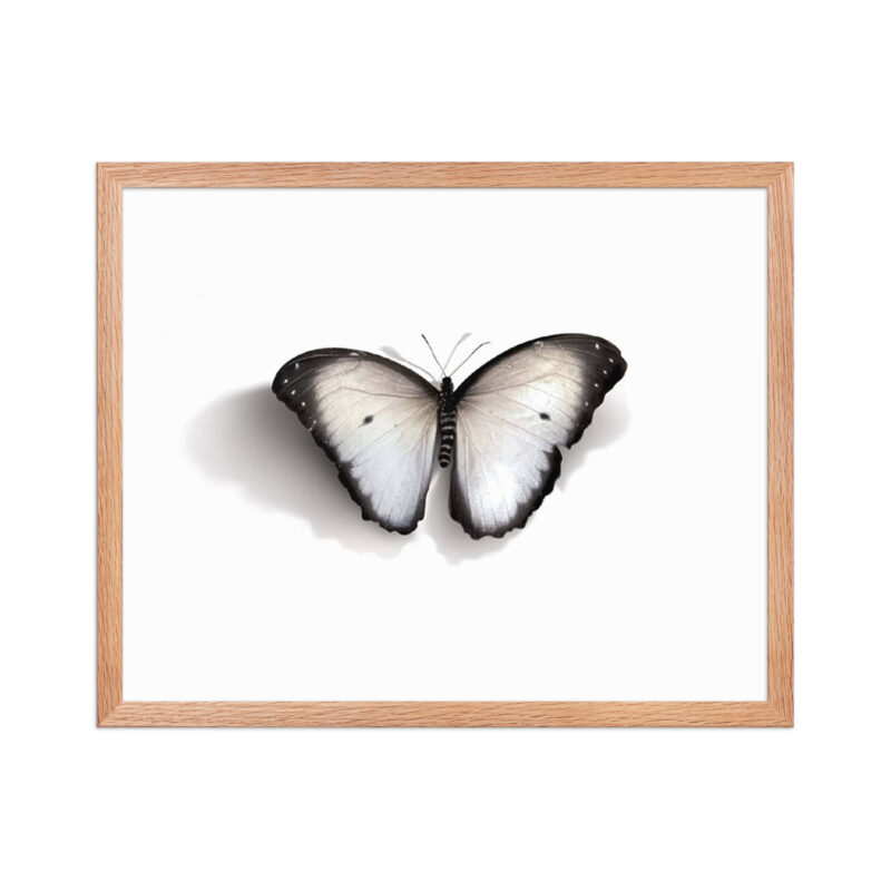 Framed poster - Image 18