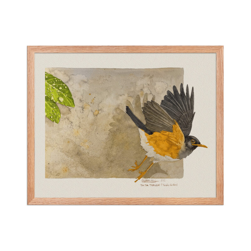 Framed poster - Image 10