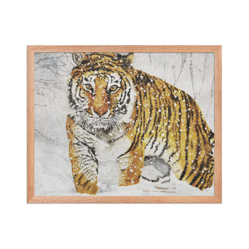 Framed poster, bengal tiger - Image 9