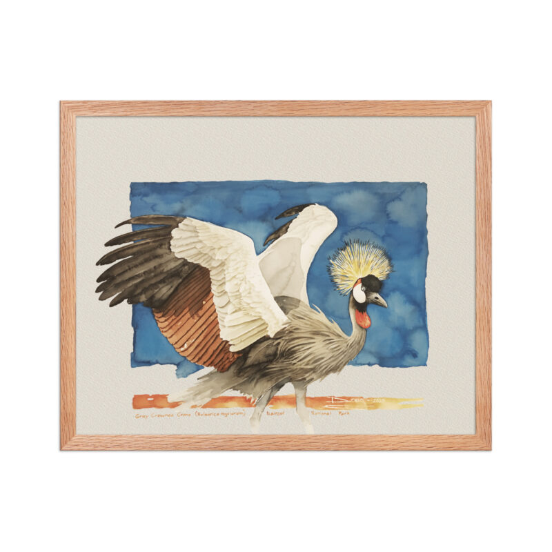 Framed poster Grey-crowned crane - Image 10