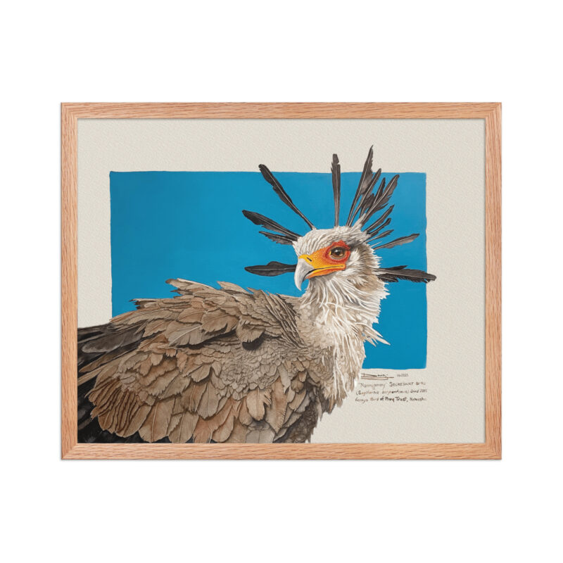 Framed poster, "Moneypenny" the secretary bird - Image 10