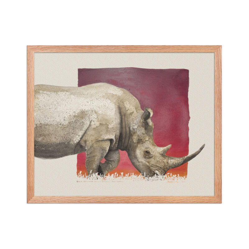 Framed poster, black rhino,Ol Pejeta - Image 10