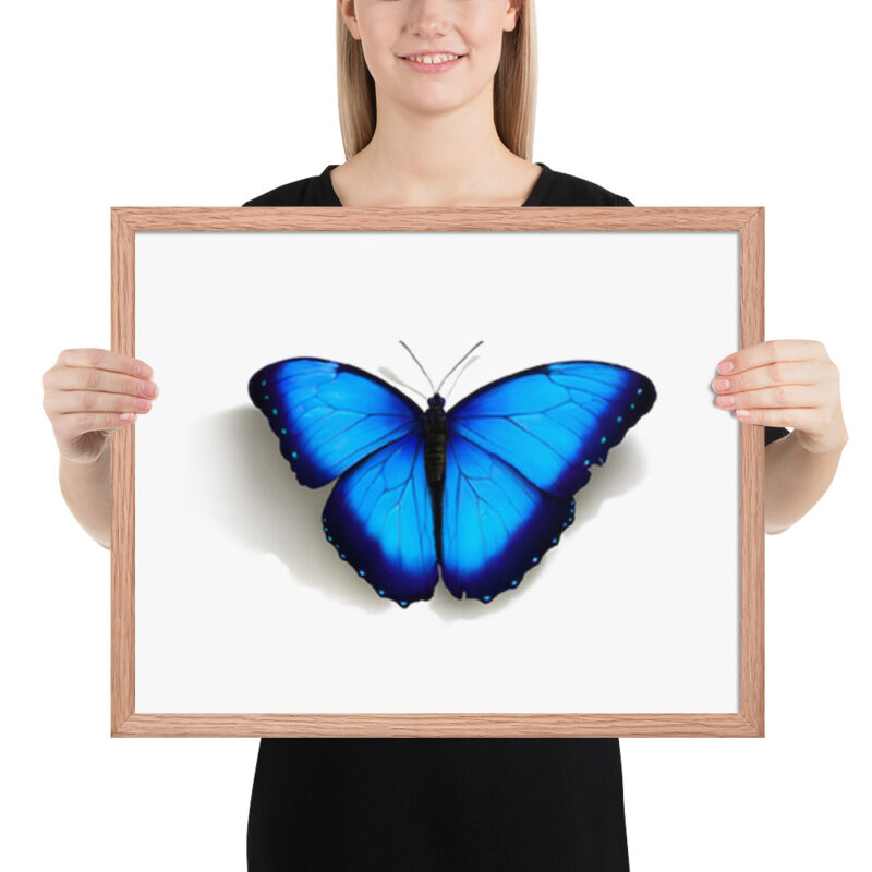 Framed poster, morpho butterfly, (Morpho peleides) - Image 20