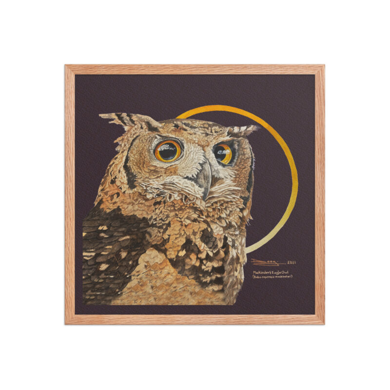 Framed poster - Image 20
