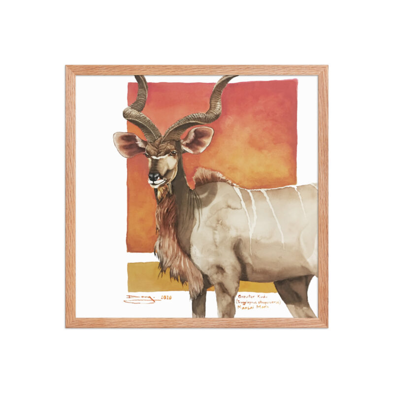 Framed poster, save th eKudu - Image 16