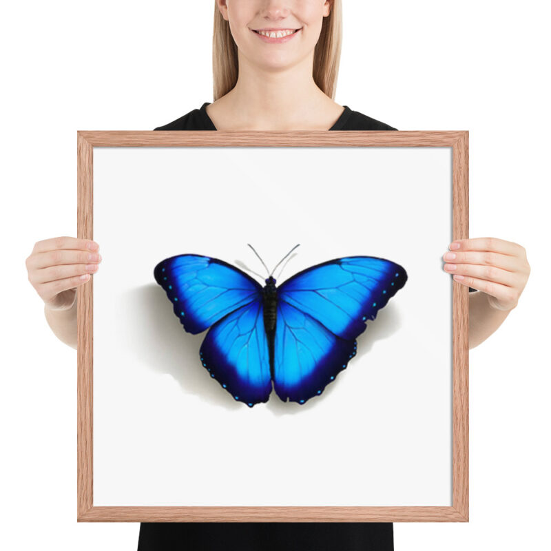 Framed poster, morpho butterfly, (Morpho peleides) - Image 21