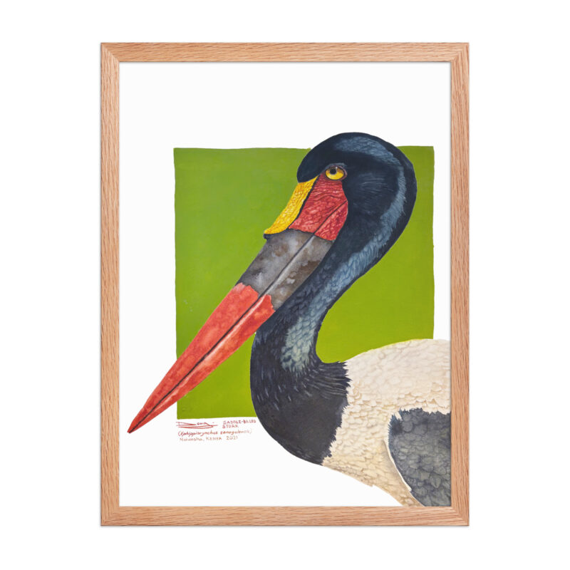 Framed poster - Image 16
