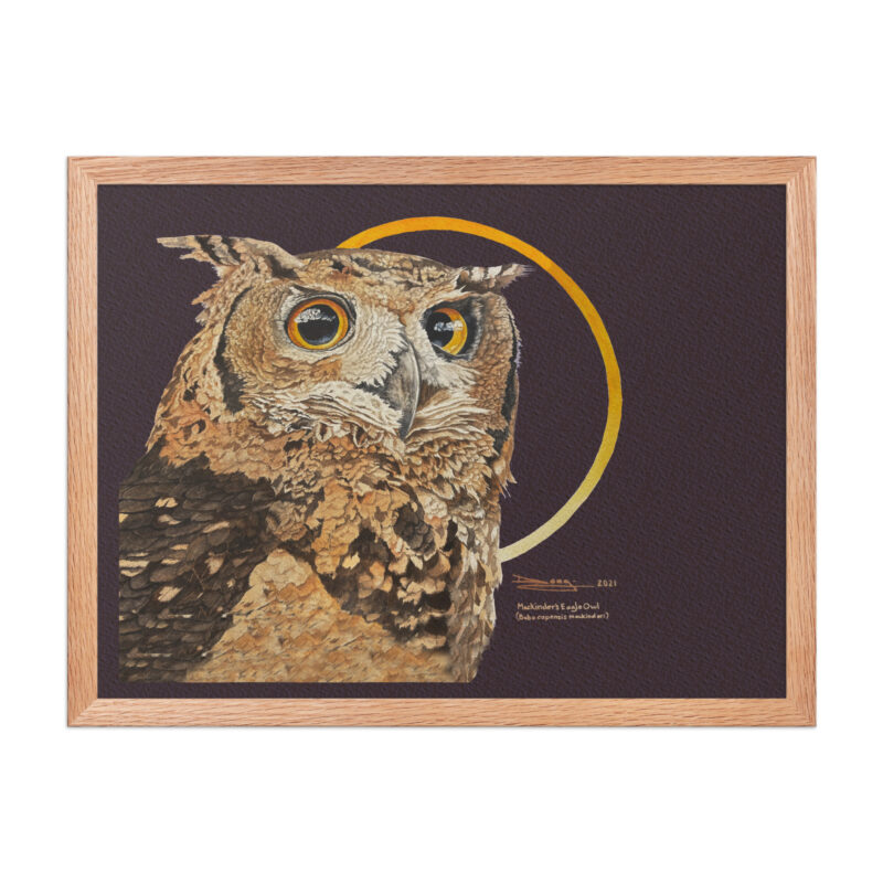 Framed poster - Image 21