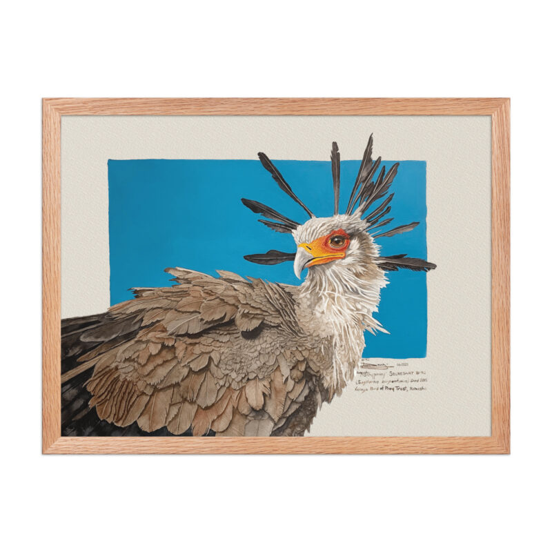 Framed poster, Moneypenny, the secretary bird - Image 11