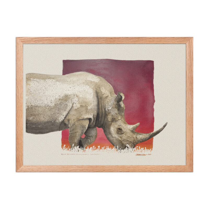 Framed poster, black rhino - Image 11