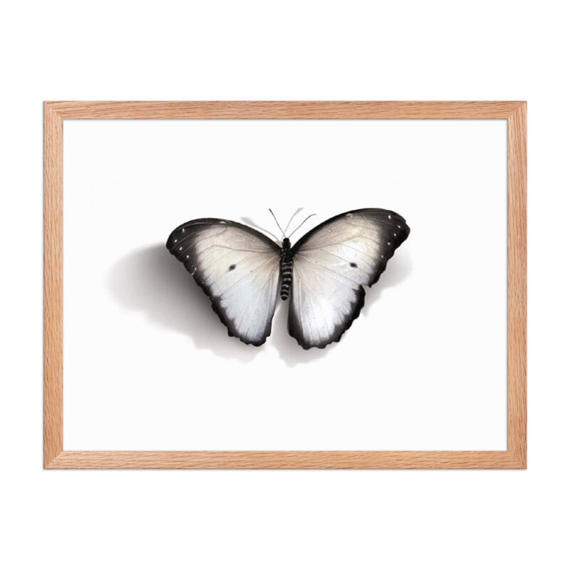 Framed poster - Image 20