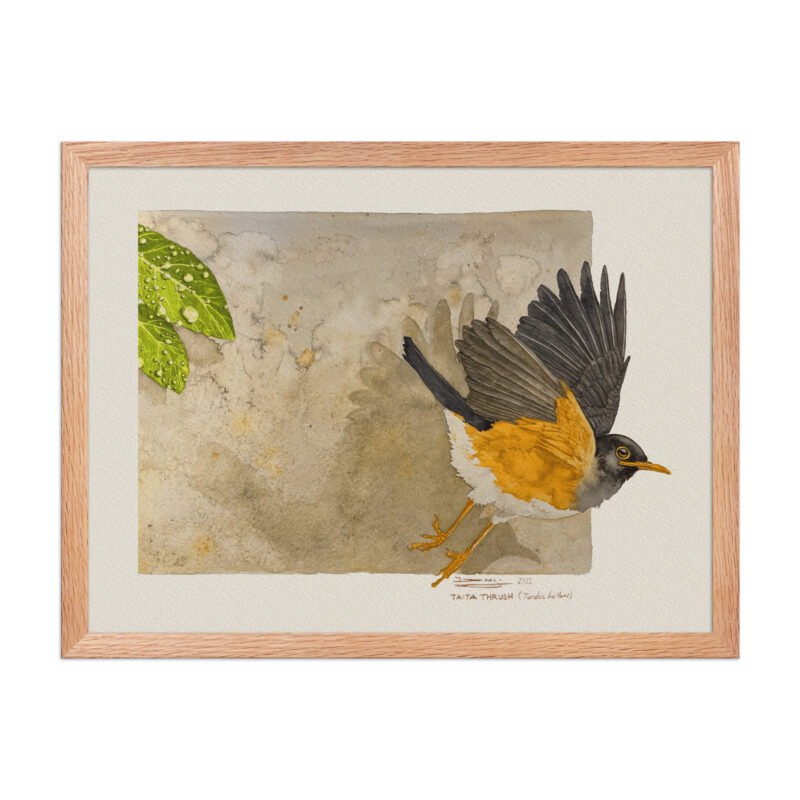 Framed poster - Image 11