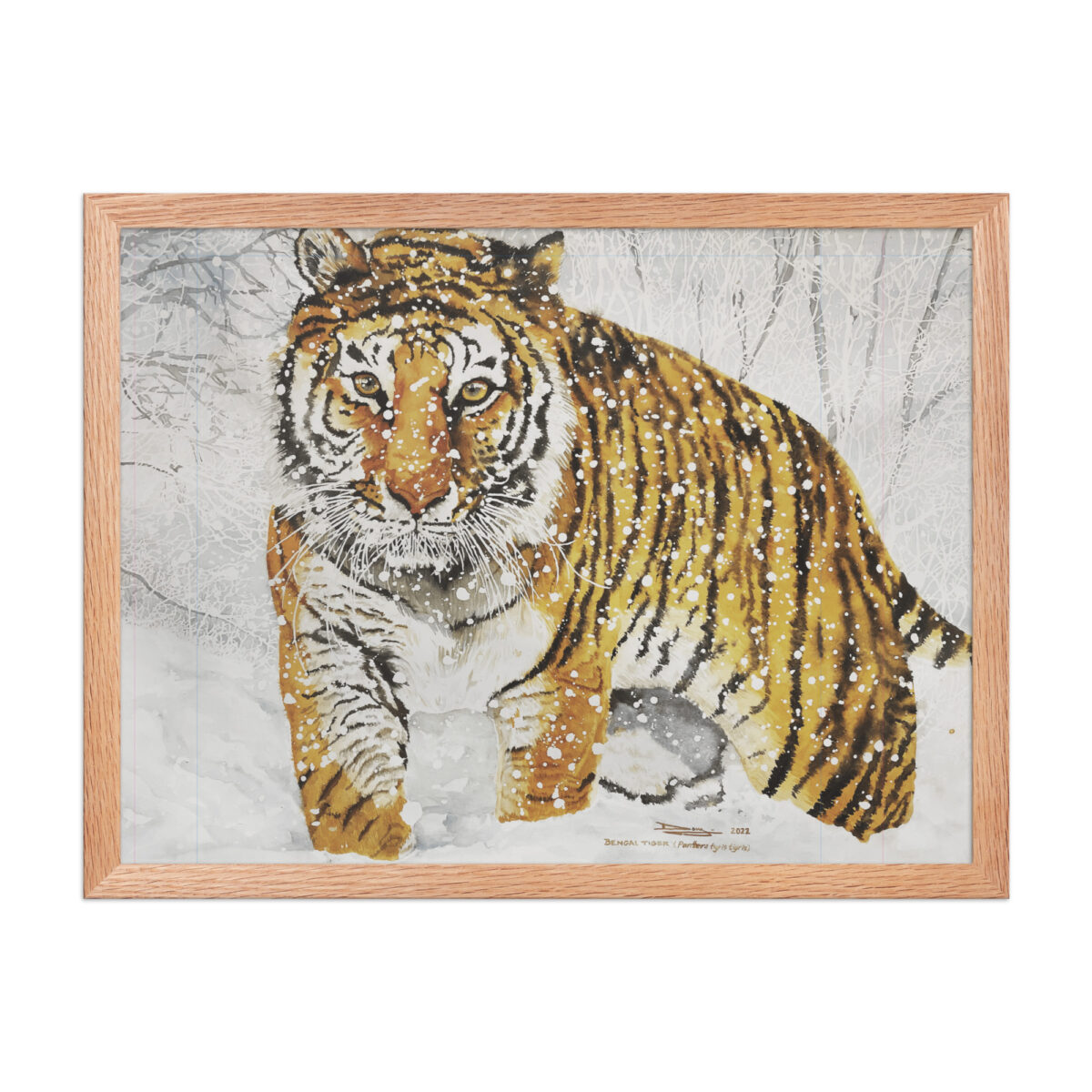 Framed poster, bengal tiger - Image 10