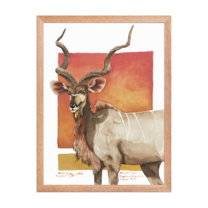 Framed poster, save th eKudu