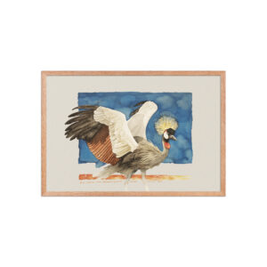Framed poster, Grey Crowned Crane