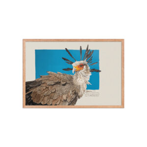 Framed poster, Moneypenny, the secretary bird