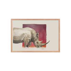 Framed poster, black rhino