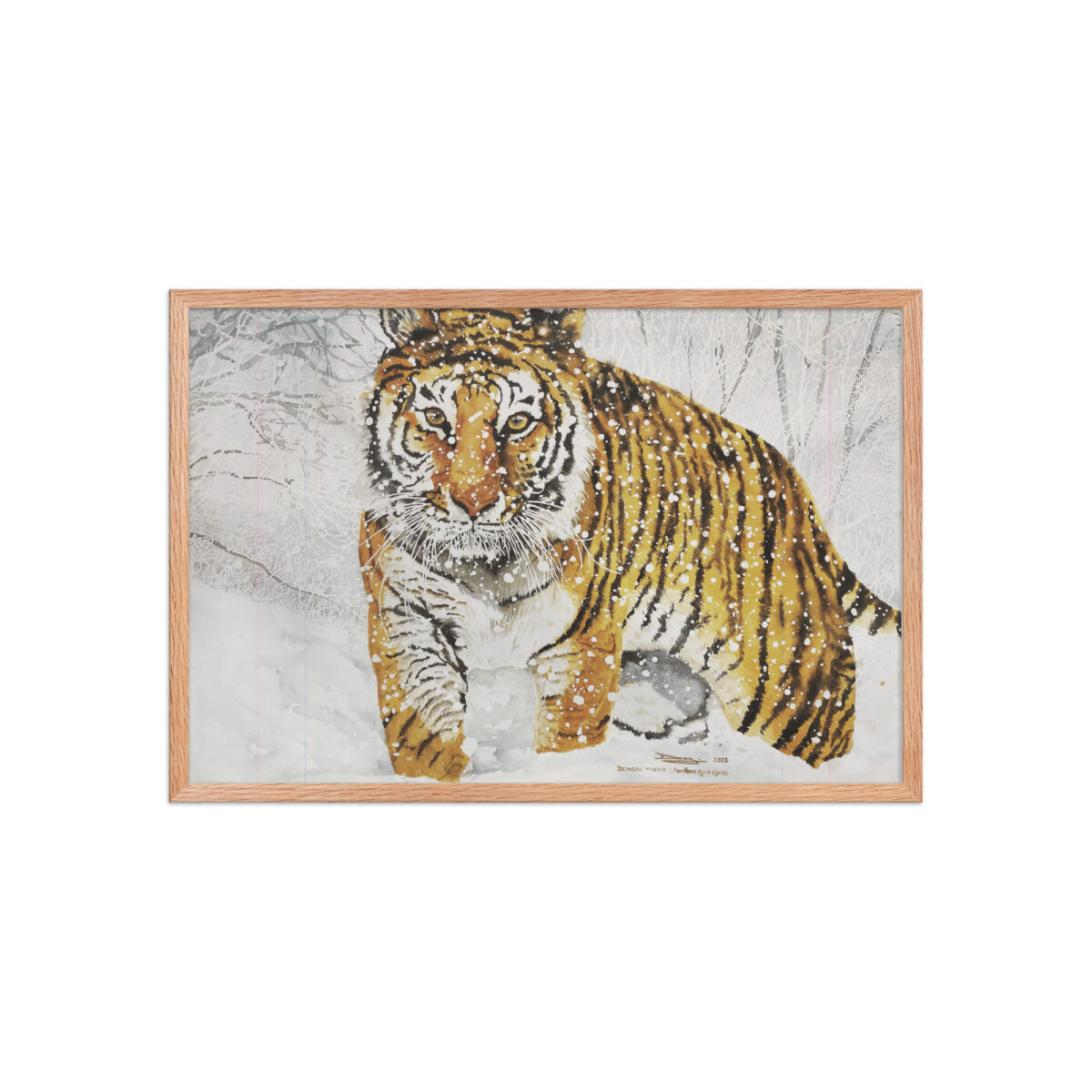 Framed poster, bengal tiger - Image 11