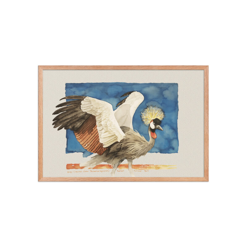 Framed poster Grey-crowned crane - Image 11