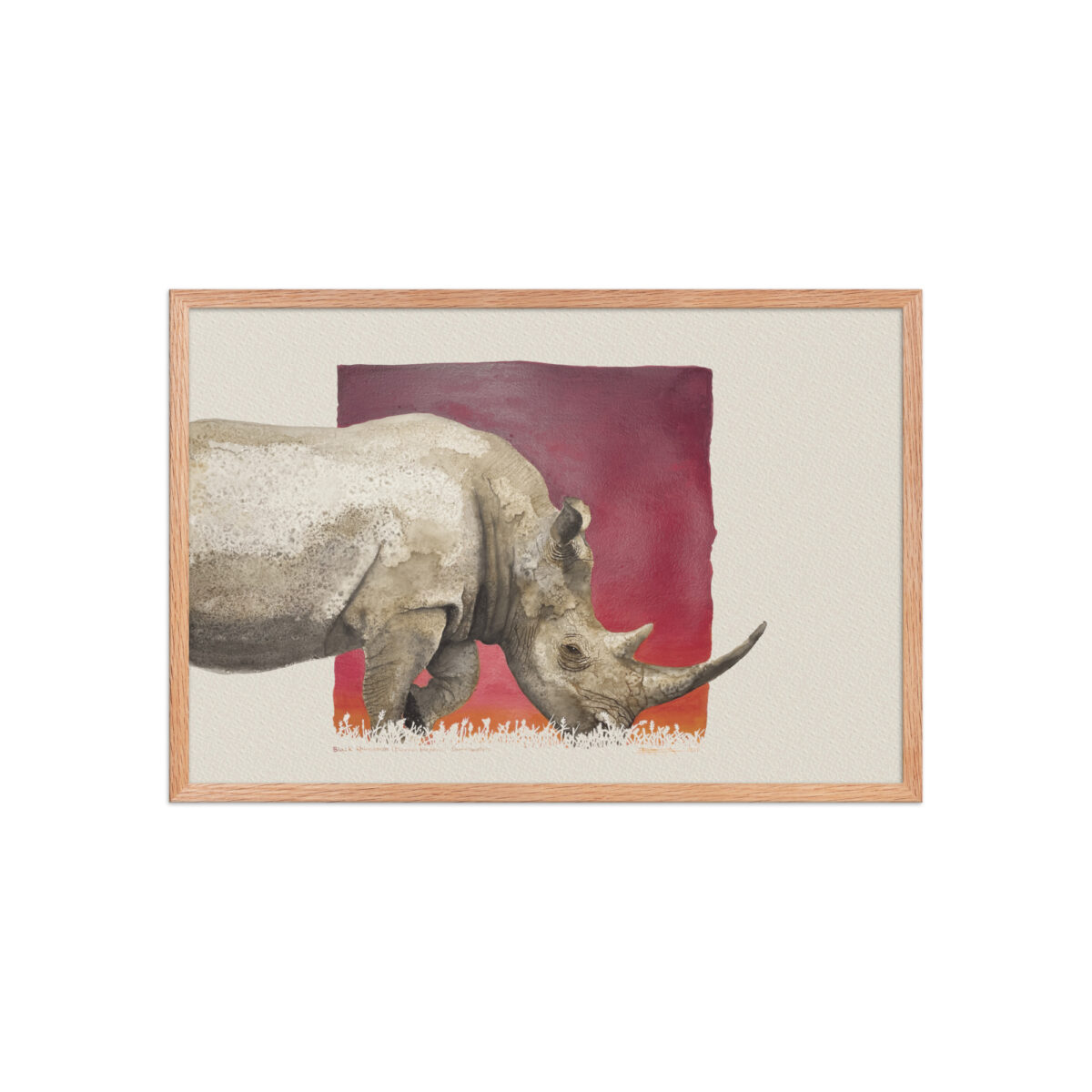 Framed poster, black rhino,Ol Pejeta - Image 11