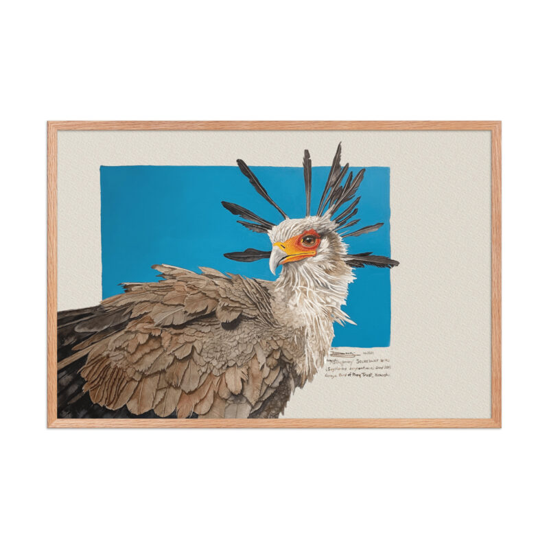 Framed poster, Moneypenny, the secretary bird - Image 12