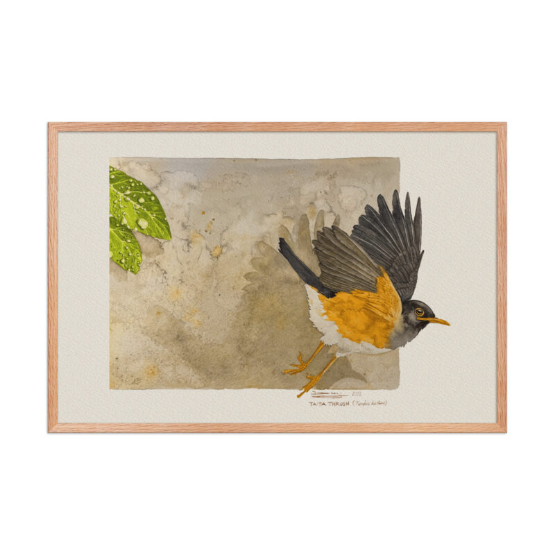 Framed poster - Image 12