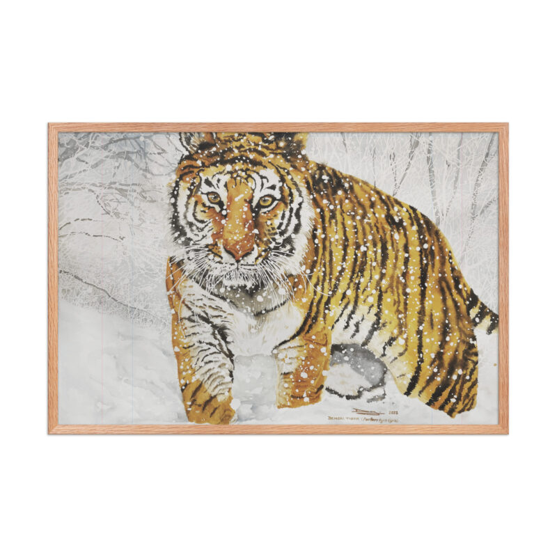 Framed poster, bengal tiger - Image 12