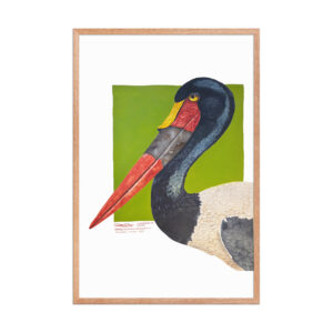 Framed poster, save Lake Naivasha (saddle-billed stork)