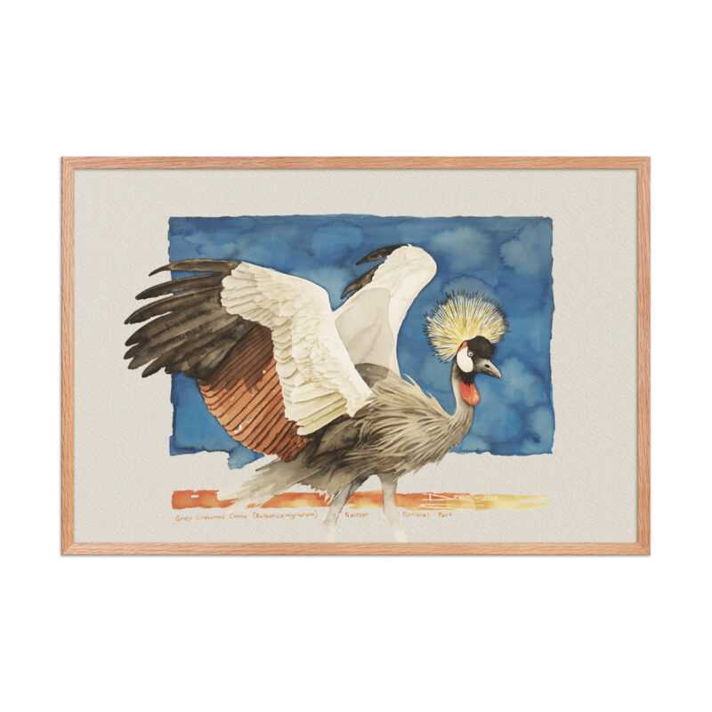 Framed poster Grey-crowned crane - Image 12