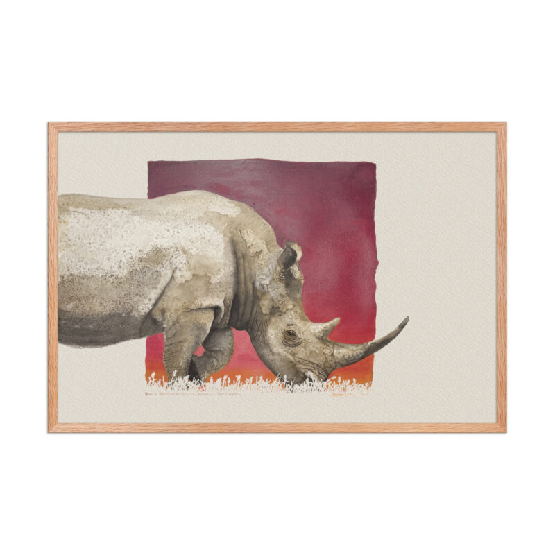 Framed poster, black rhino,Ol Pejeta - Image 12