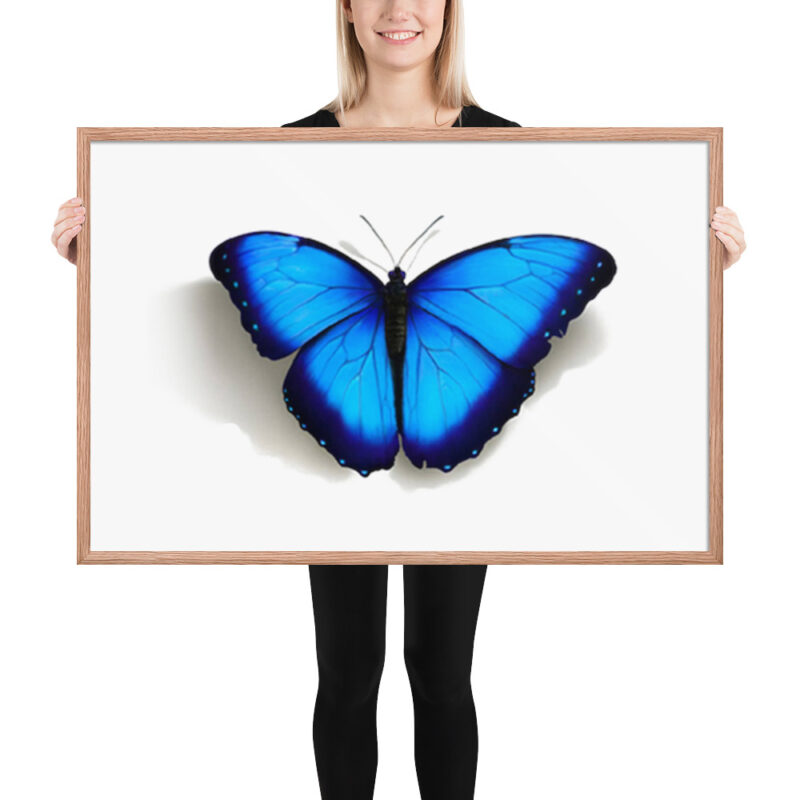 Framed poster, morpho butterfly, (Morpho peleides) - Image 22