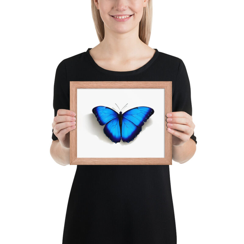 Framed poster, morpho butterfly, (Morpho peleides) - Image 13