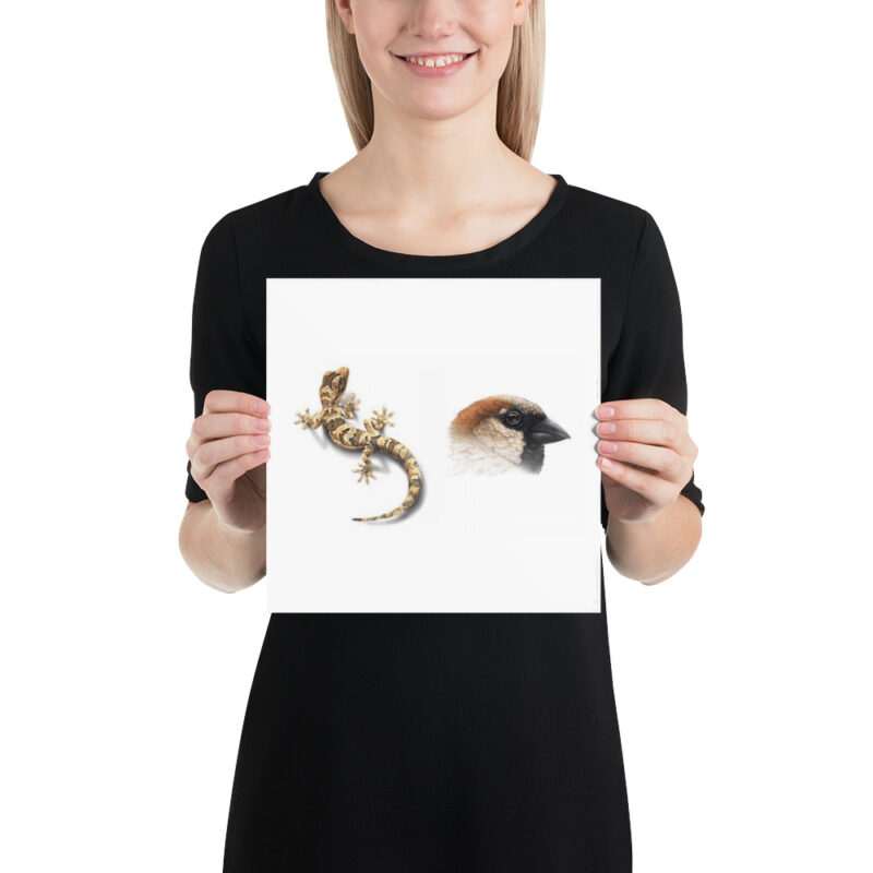 Poster, Geck and Sparrow - Image 2