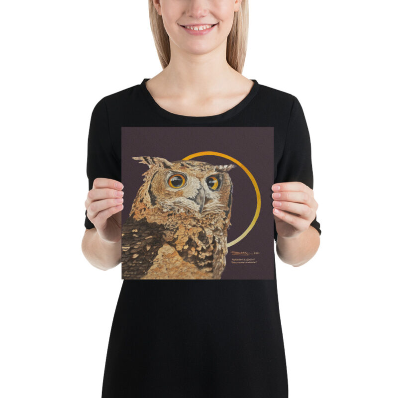 Poster ,Mackinder's eagl eowl - Image 2