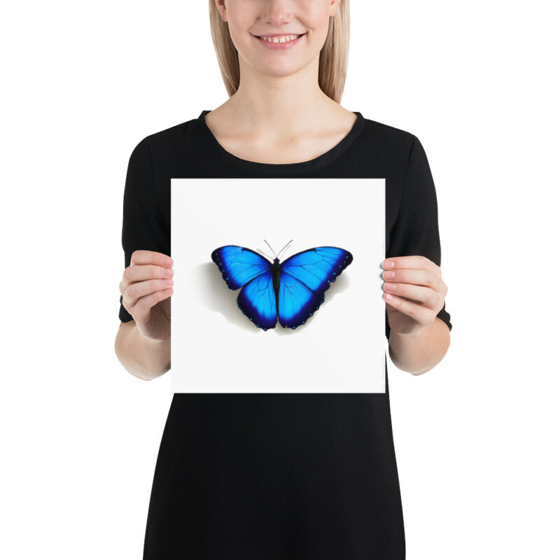 Poster, morpho butterfly, (Morpho peleides) - Image 2