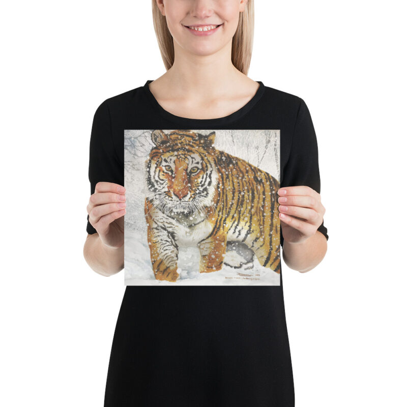 Poster, bengal tiger, (Panthera tigris tigris) - Image 2