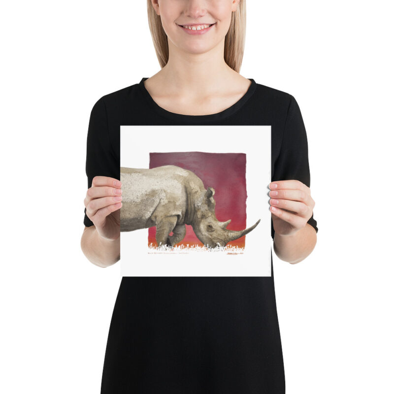 Poster, black rhino, (Diceros bicornis) - Image 2