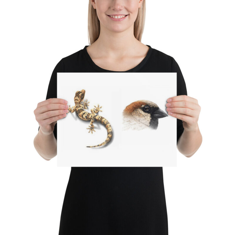 Poster, Geck and Sparrow - Image 3
