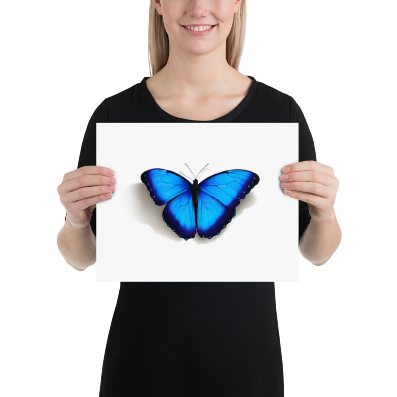 Poster, morpho butterfly, (Morpho peleides) - Image 3