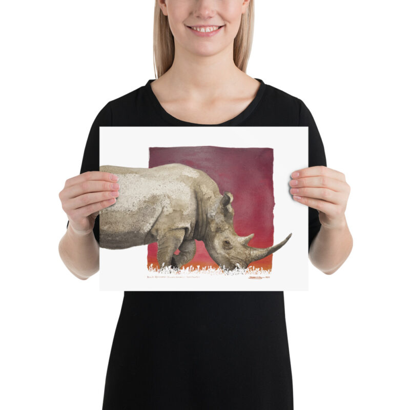 Poster, black rhino, (Diceros bicornis) - Image 3