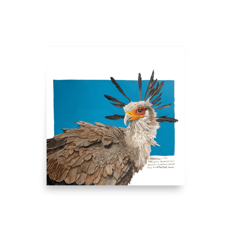 Poster, "Moneypenny" the secretary bird, (Sagitarius serpentanius) - Image 6