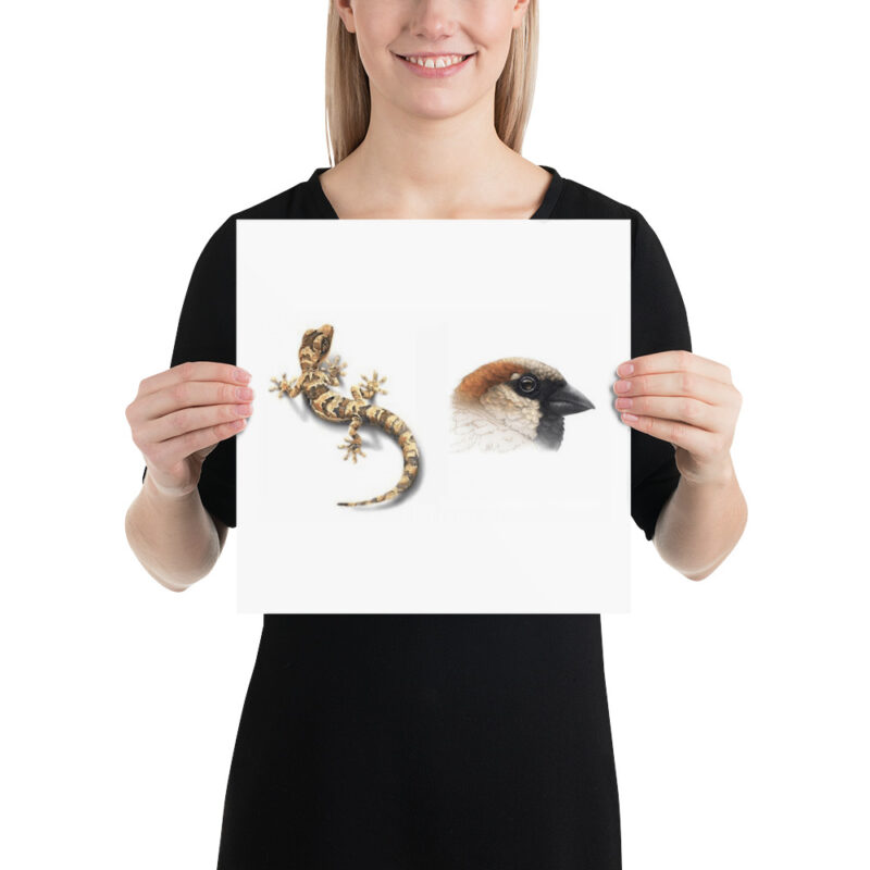 Poster, Geck and Sparrow - Image 4