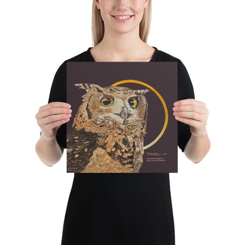 Poster ,Mackinder's eagl eowl - Image 4