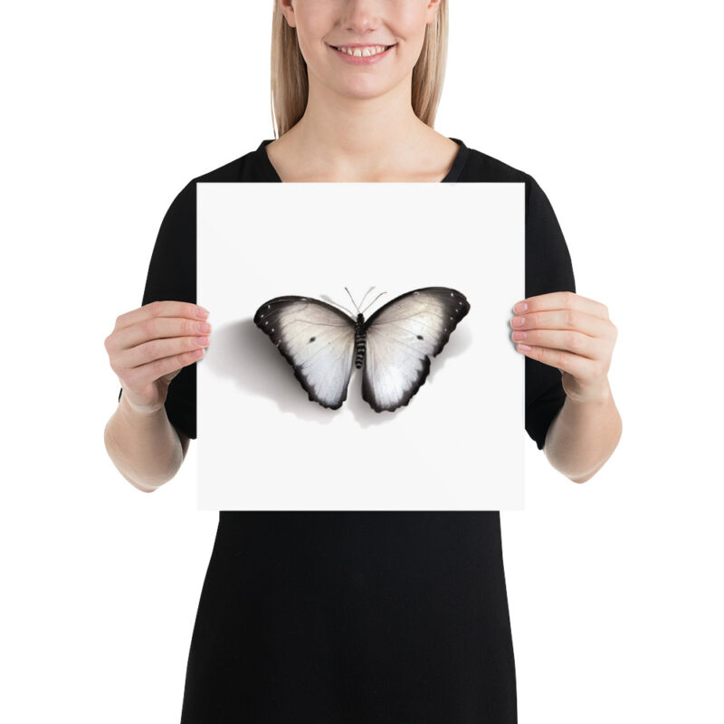 Poster, white butterfly (Pieris rapae) - Image 4