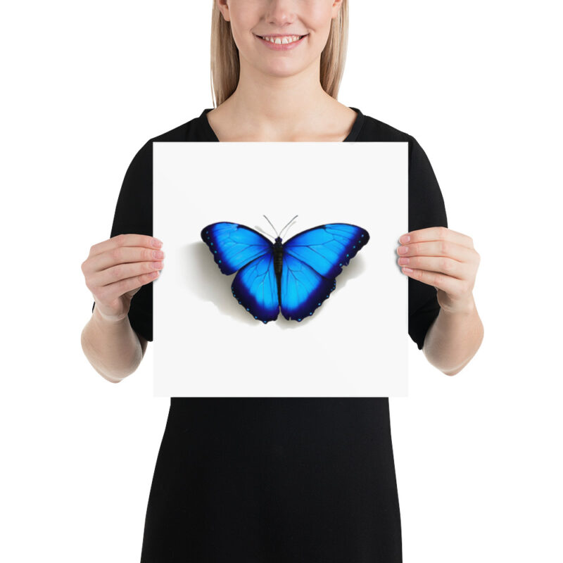 Poster, morpho butterfly, (Morpho peleides) - Image 4
