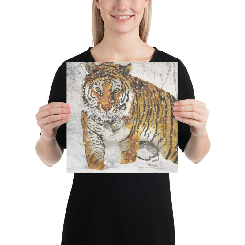 Poster, bengal tiger, (Panthera tigris tigris) - Image 4