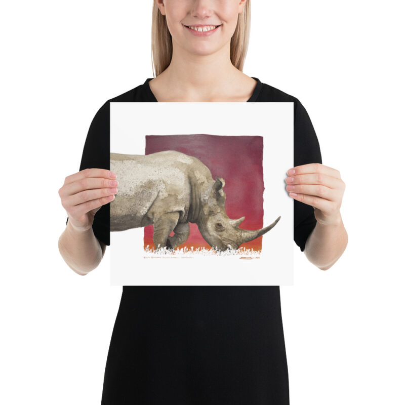Poster, black rhino, (Diceros bicornis) - Image 4