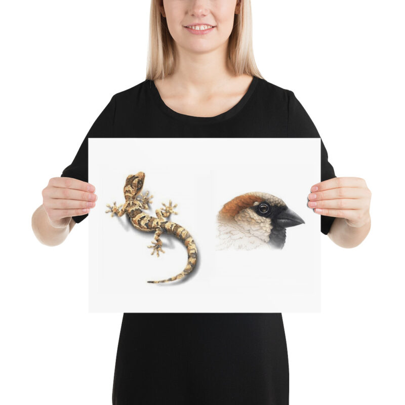 Poster, Geck and Sparrow - Image 5