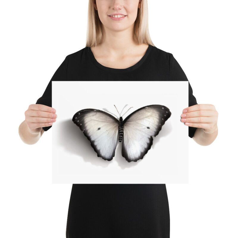 Poster - Image 5